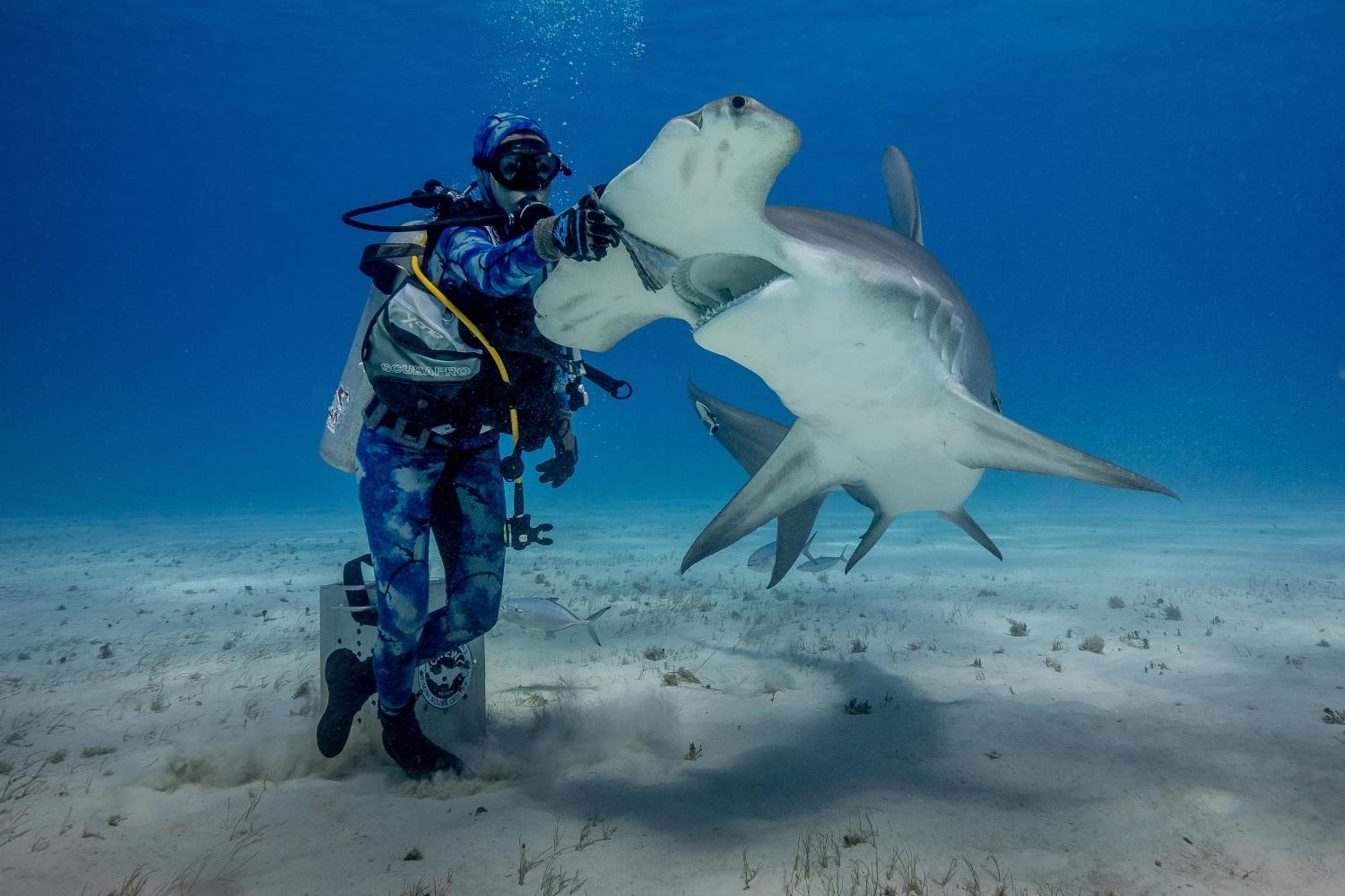 Bimini Big Game Club Resort & Marina Alice Town  Bagian luar foto