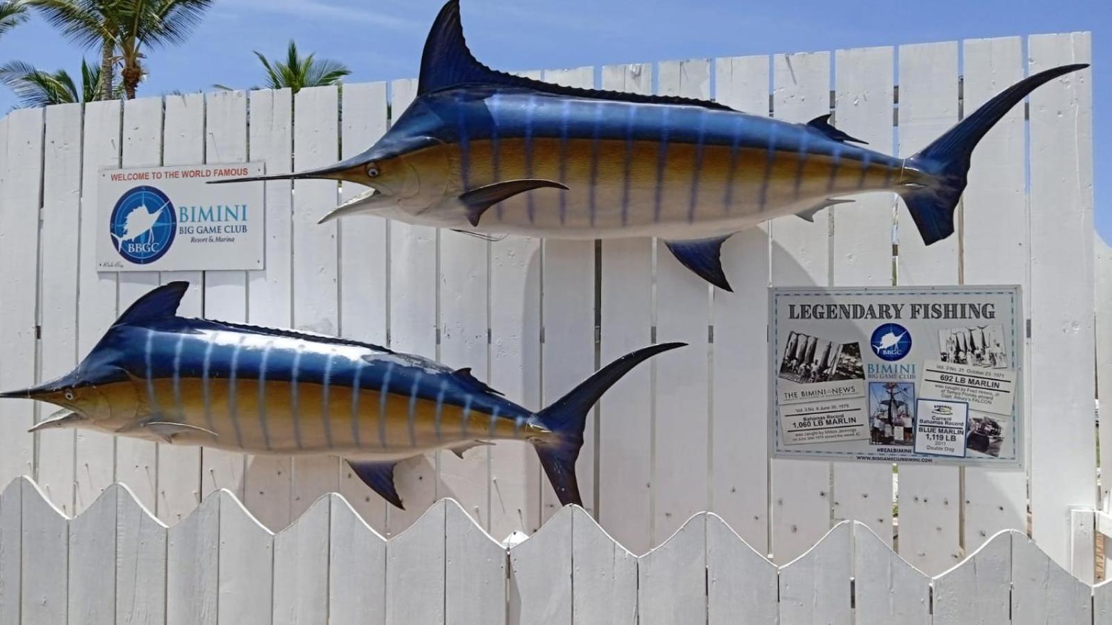 Bimini Big Game Club Resort & Marina Alice Town  Bagian luar foto