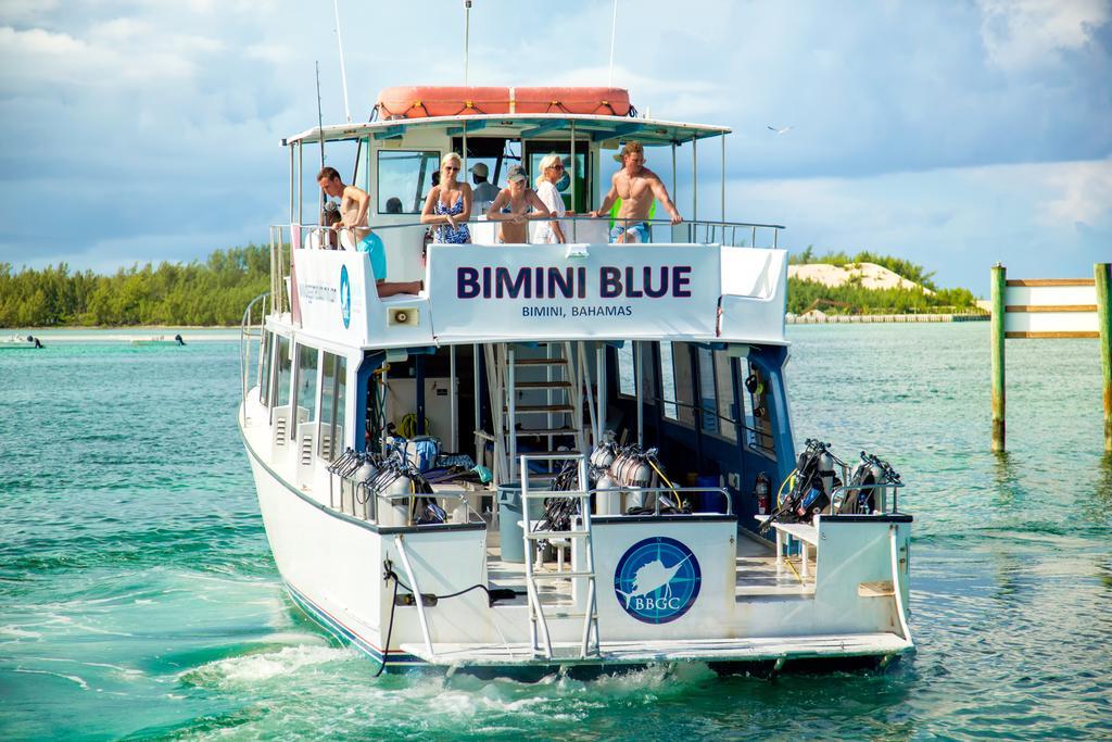 Bimini Big Game Club Resort & Marina Alice Town  Bagian luar foto